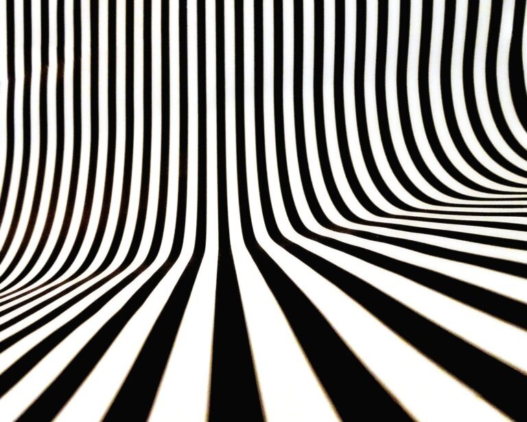 What is the hypothesis behind optical illusions?